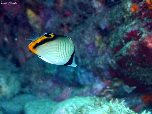 b0236647_8594996.jpg