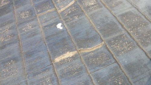 a0179560_18122881.jpg