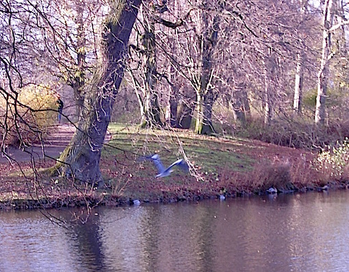 e0357367_0132771.jpg
