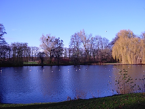 e0357367_053990.jpg