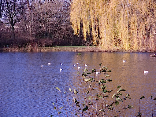 e0357367_06018.jpg