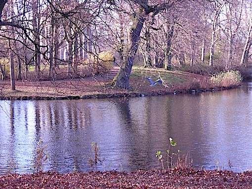 e0357367_061663.jpg