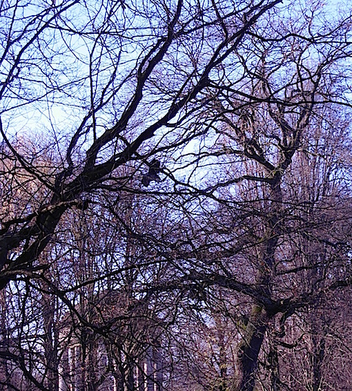 e0357367_07115.jpg