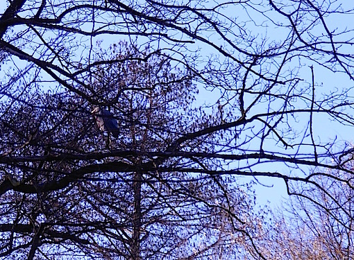 e0357367_073378.jpg