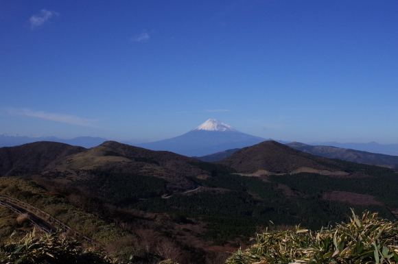 a0232368_05443248.jpeg