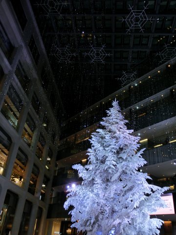 e0045768_21554322.jpg