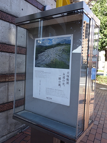 b0018682_991318.jpg