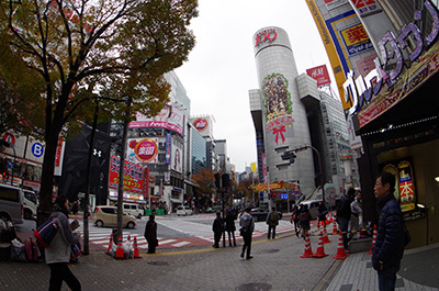 b0056983_11342222.jpg