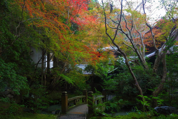 瑠璃光院_e0051888_4502370.jpg
