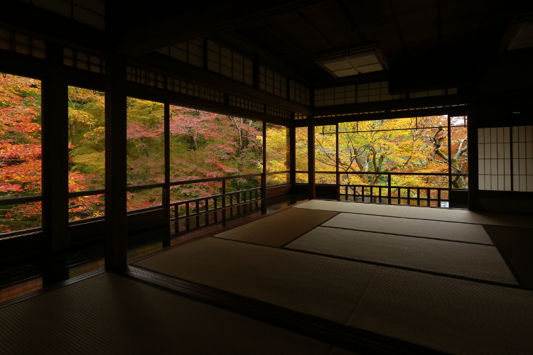瑠璃光院_e0051888_4503524.jpg