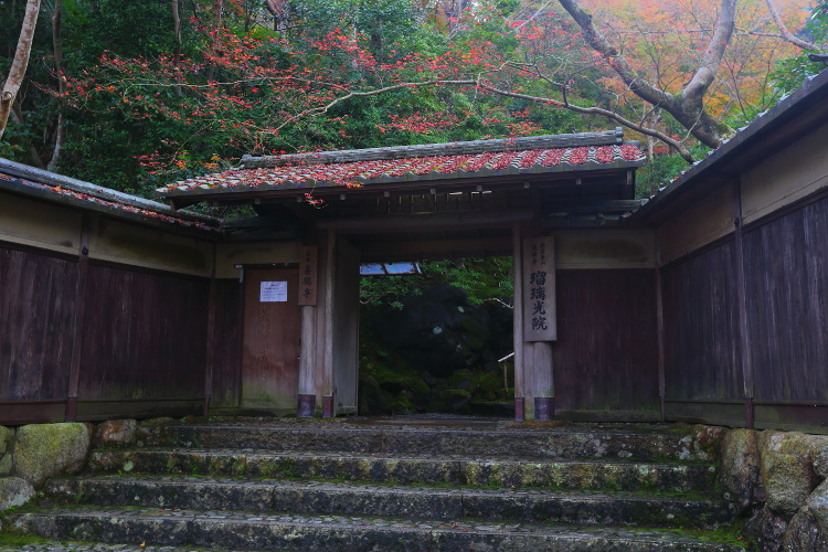 瑠璃光院_e0051888_450455.jpg
