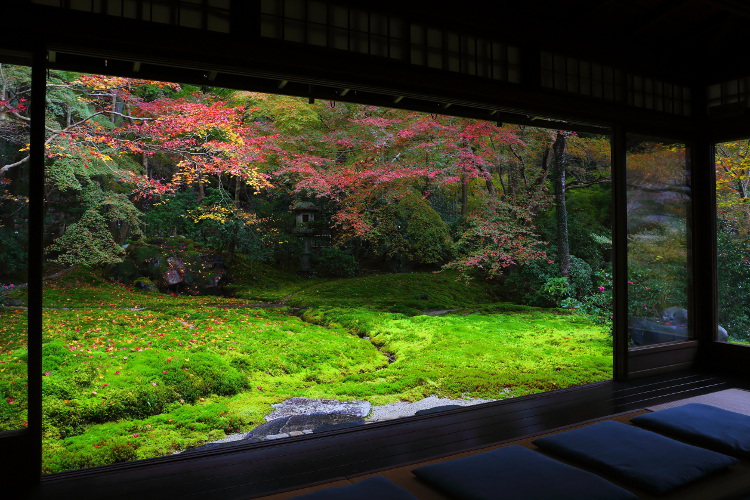 瑠璃光院_e0051888_45049100.jpg