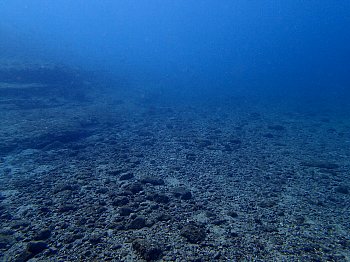 f0079996_14471612.jpg