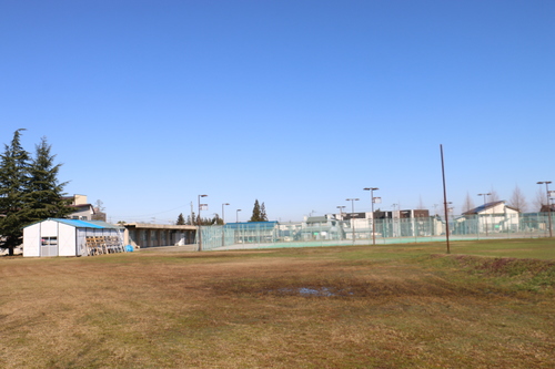 初冬の青空　１２月９日（大雪・初候）　閉塞く（そらさむく）冬と成る　・・・２_c0075701_13105041.jpg