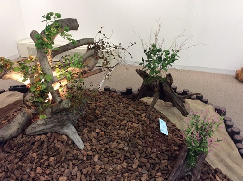 「樹脂粘土工芸 花実アート作品展」に行きました_c0357605_11244449.jpg