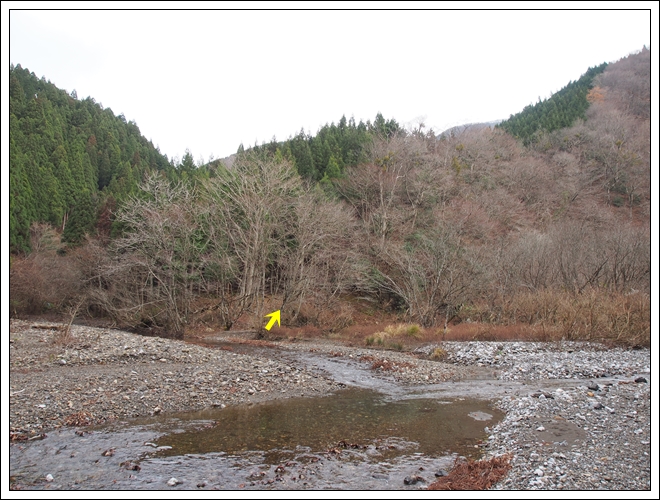 2015/12/05 晩秋の御池岳…伊勢尾から丁字尾根周回_f0052108_1525673.jpg