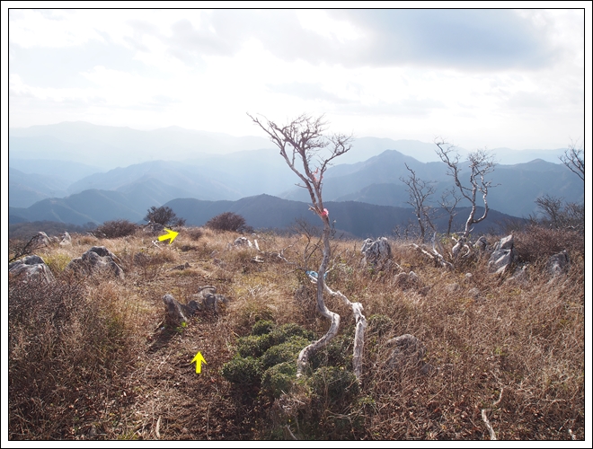 2015/12/05 晩秋の御池岳…伊勢尾から丁字尾根周回_f0052108_16141079.jpg