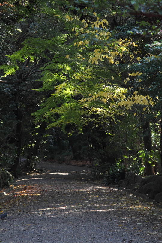 洋館と茶室と紅葉_b0190710_23163381.jpg