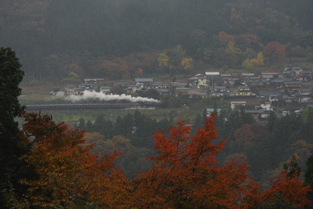 雨の日の紅葉 - 2015年晩秋・秩父 - _b0190710_2320945.jpg