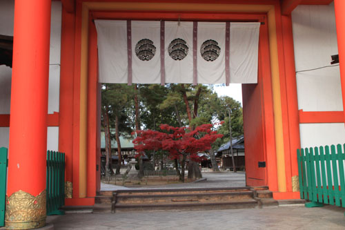 紅葉だより59 今宮神社_e0048413_19464181.jpg