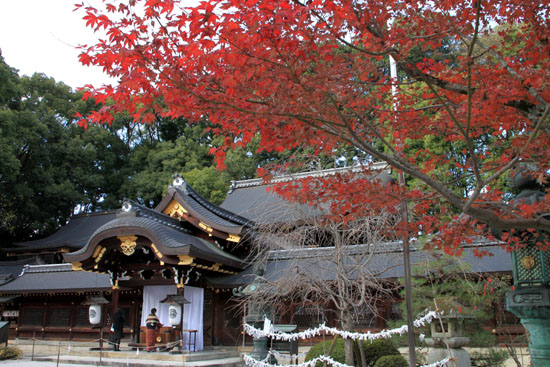 紅葉だより59 今宮神社_e0048413_19465550.jpg