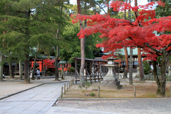 紅葉だより59 今宮神社_e0048413_19471797.jpg