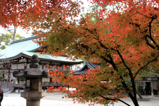 紅葉だより59 今宮神社_e0048413_19474125.jpg