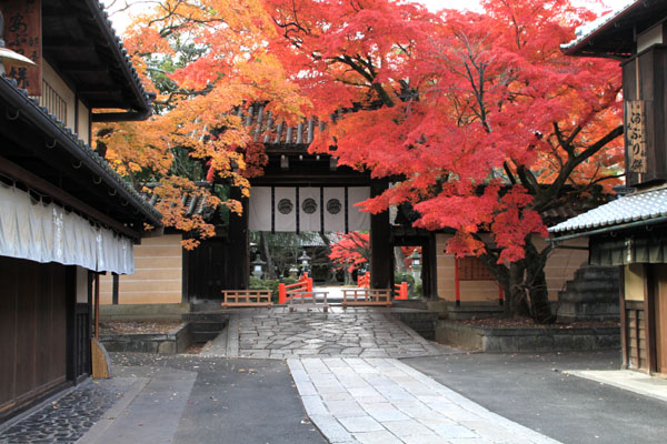 紅葉だより59 今宮神社_e0048413_19475548.jpg