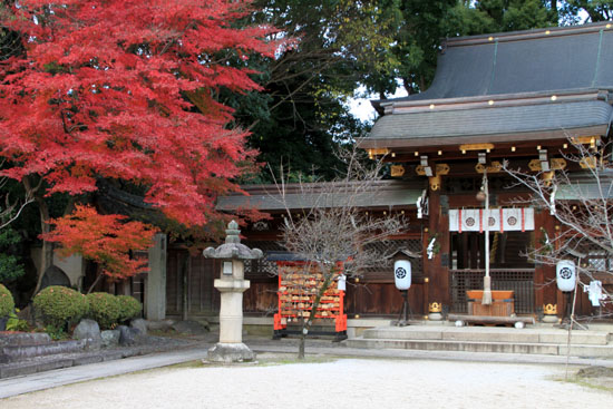 紅葉だより59 今宮神社_e0048413_1947872.jpg