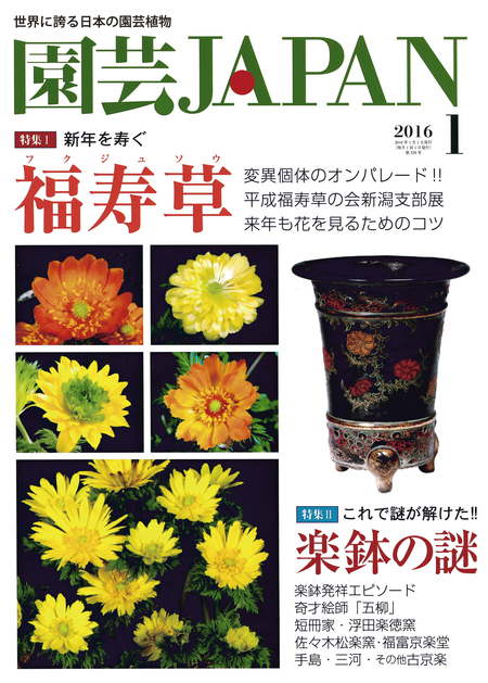 園芸japan1月号 園芸japan 編集部ニュース