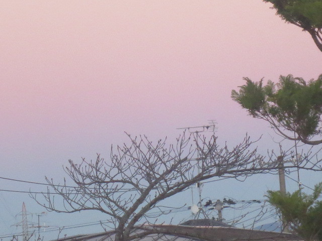 f0248616_00265661.jpg