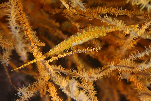 f0206424_2139169.jpg