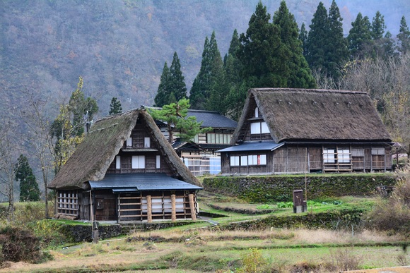 f0124830_0243375.jpg