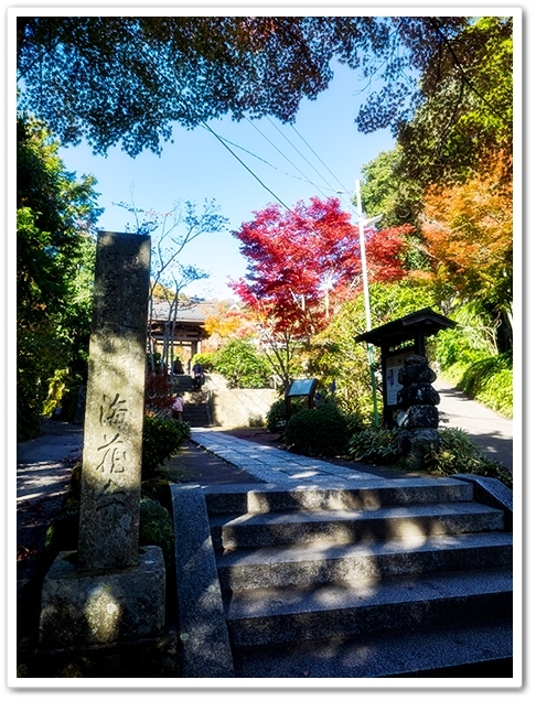 2015年　秋の鎌倉その3　海蔵寺_d0233731_14371011.jpg