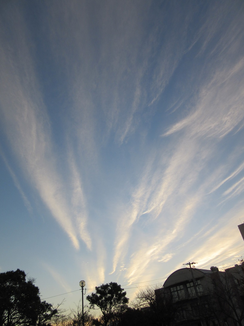 b0014732_827232.jpg