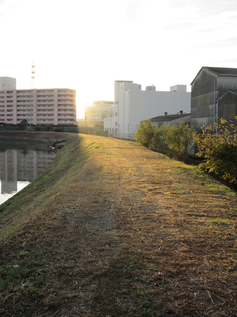 b0014732_8285937.jpg