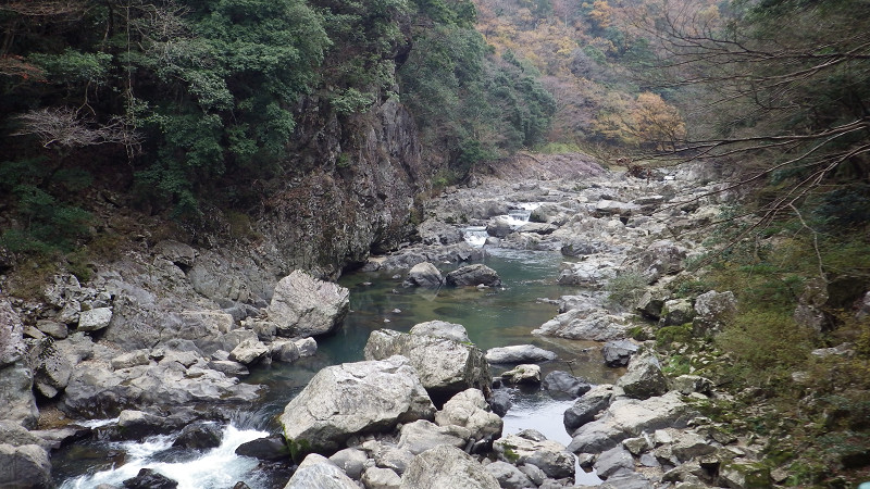 e0305733_591090.jpg
