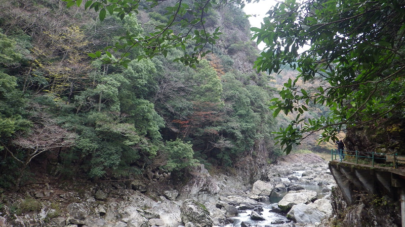e0305733_593251.jpg