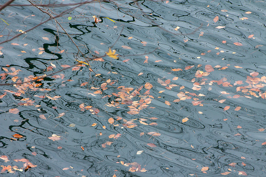 c0067040_18244744.jpg