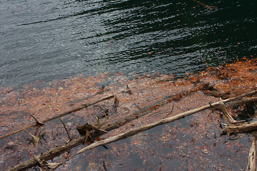 c0067040_18255152.jpg