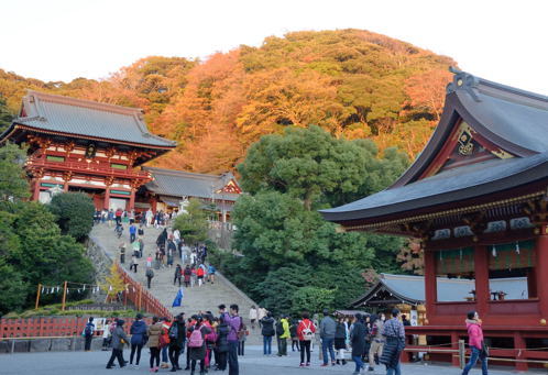 古都鎌倉の紅葉 鶴岡八幡宮 四季の彩りを楽しみたい凡人アルバム