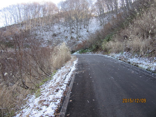 f0279343_22505386.jpg