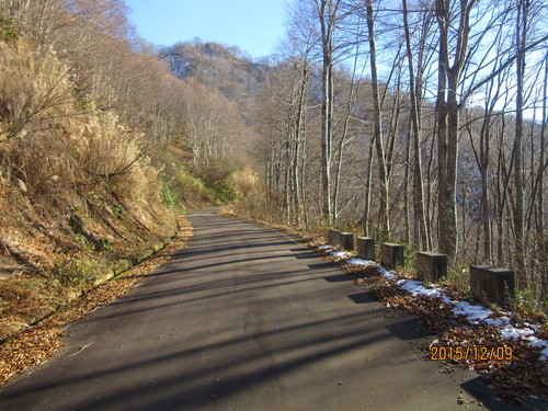 f0279343_2373338.jpg