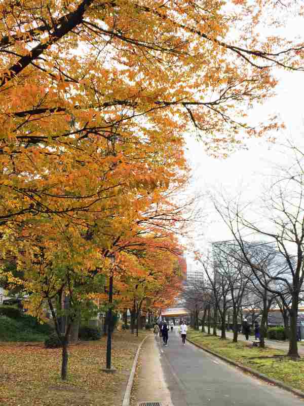 今年も一万人の第九でにぎわう大阪城ホール！　　　　　　　2015.12.6_d0151746_12114345.jpg