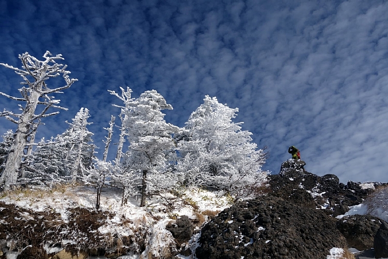 b0122448_22143059.jpg