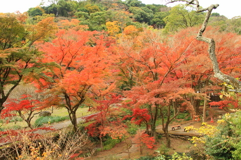 ドライブ旅行　2日目_b0154148_16562860.jpg