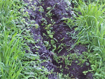 b0239151_12183673.png