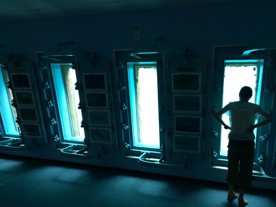 c0105957_2227331.jpg