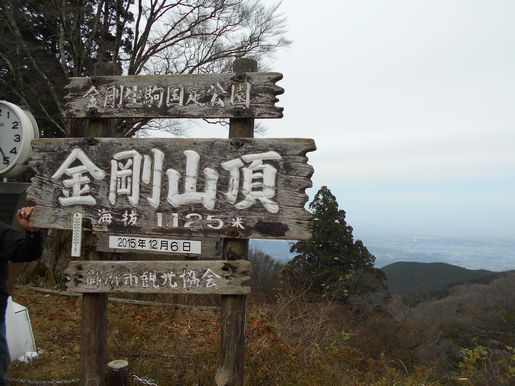 またまた金剛山ちょいとハードな「中尾の背」ルート_f0233868_21444558.jpg