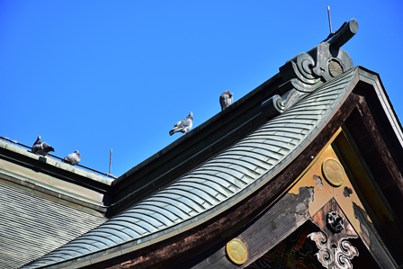 秩父神社　2015初冬_f0342371_864262.jpg